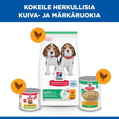 Hill's Science Plan Puppy <1 Medium kana