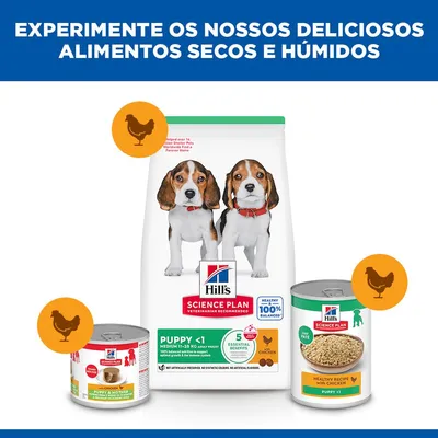 Hill's Science Plan Puppy <1 Medium com frango