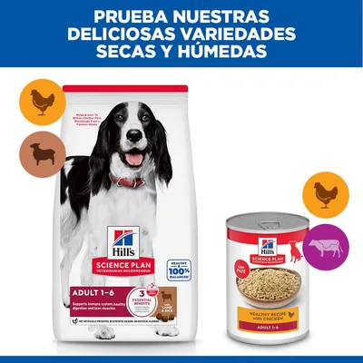 Hill's Science Plan Adult 1-6 Medium con cordero y arroz