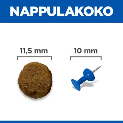 Kroketin koon vertailu: Kroketti, jonka halkaisija on 11,5 mm, vieressä ilmoitustaulun nastan halkaisija, 10 mm. Kroketin koon vertailu: Kroketti, jonka halkaisija on 11,5 mm, vieressä ilmoitustaulun nastan halkaisija, 10 mm.