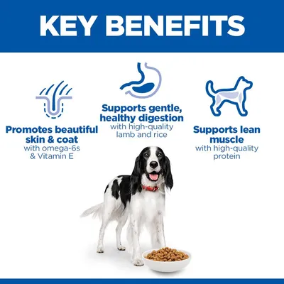 Hill's Science Plan Adult 1-6 Medium with Lamb & Rice