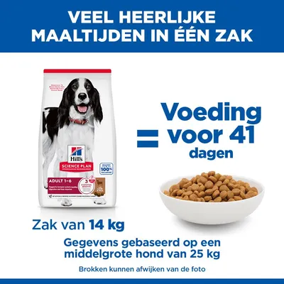 Hill's Science Plan Adult Medium met Lam met Rijst