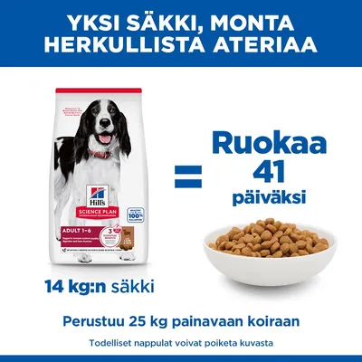 Hill's Science Plan Adult 1-6, 14 kg säkki riittää 41 päivän ruoaksi, perustuen 25 kg painoiseen koiraan. Kuvassa näkyvät ruokasäkki ja kuppi, jossa on kuivaruokaa. Hill's Science Plan Adult 1-6, 14 kg säkki riittää 41 päivän ruoaksi, perustuen 25 kg painoiseen koiraan. Kuvassa näkyvät ruokasäkki ja kuppi, jossa on kuivaruokaa.