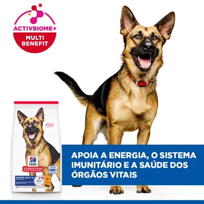 Hill's Science Plan Mature Adult 6+ Large com frango