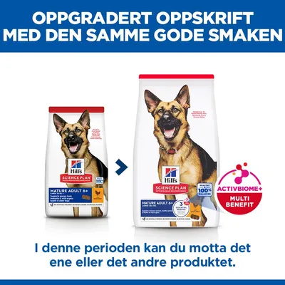 Hill's Science Plan Mature Adult 6+ Large med kylling