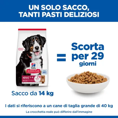 Hill's Science Plan Adult 1-5 Large con Agnello e Riso