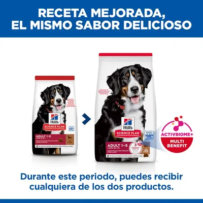 Hill's Science Plan Adult 1-5 Large con cordero y arroz