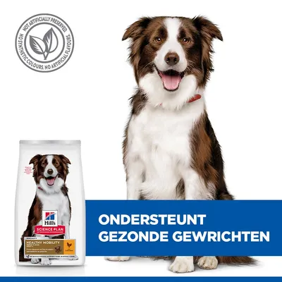 Hill's Science Plan Adult 1+ Healthy Mobility Medium poulet pour chien