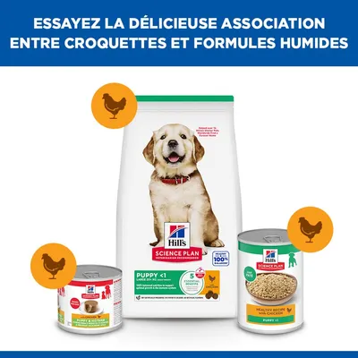 Hill's Science Plan Puppy <1 Large Poulet
