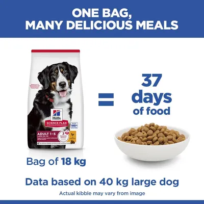 Hill's Science Plan Adult 1-5 Large csirke