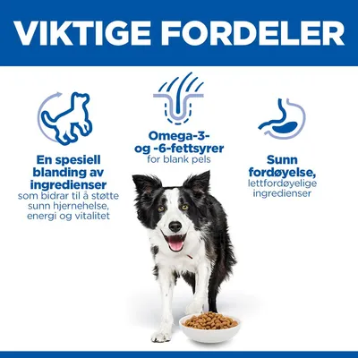 Hill's Science Plan Senior Vitality Mature Adult 7+ Medium med kylling & ris