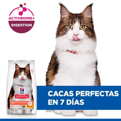 Hill's Science Plan Perfect Digestion Adult pollo