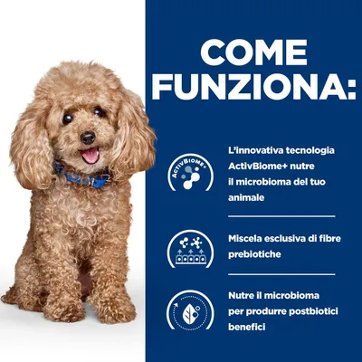 Hill's Prescription Diet Gastrointestinal Biome Mini secco per cani