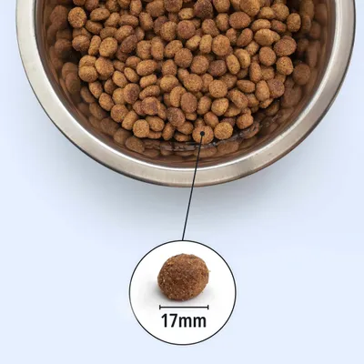 Nahaufnahme eines Napfes mit braunen Kroketten, Detailansicht einer Krokette mit Größenangabe 17 mm.