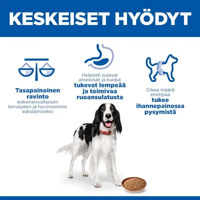 Hill's Science Plan Adult 6 x 370 g