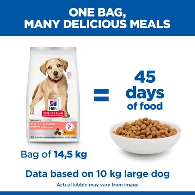 Hill's Science Plan Perfect Digestion Puppy Large csirke & barna rizs