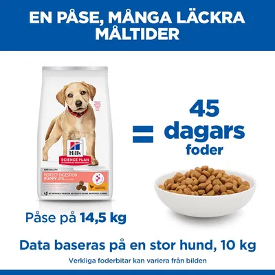 Hill's Science Plan Large Puppy Perfect Digestion