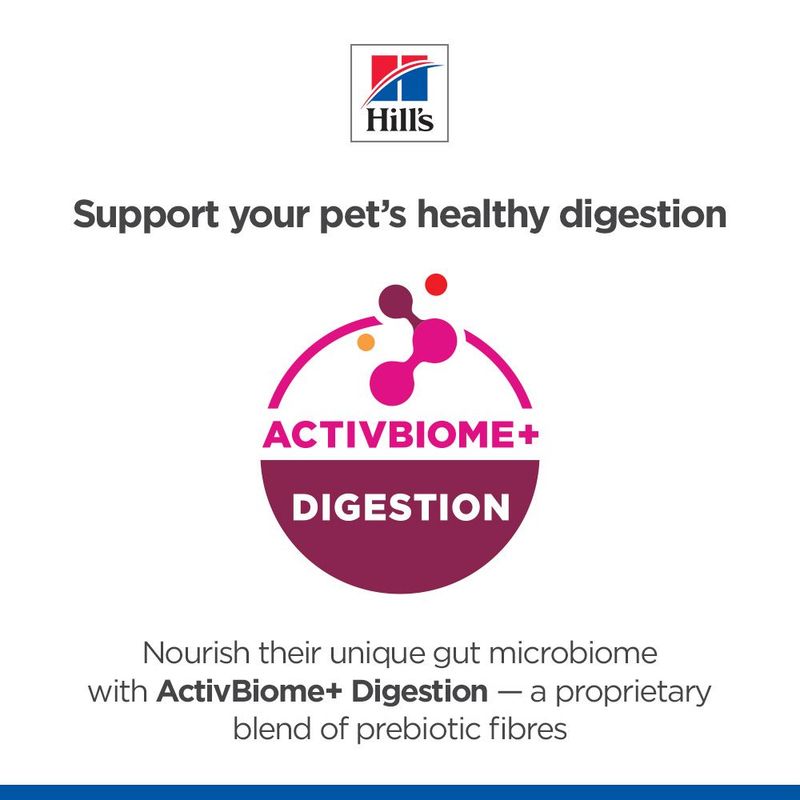 Hill's Science Plan Perfect Digestion Puppy Large csirke & barna rizs
