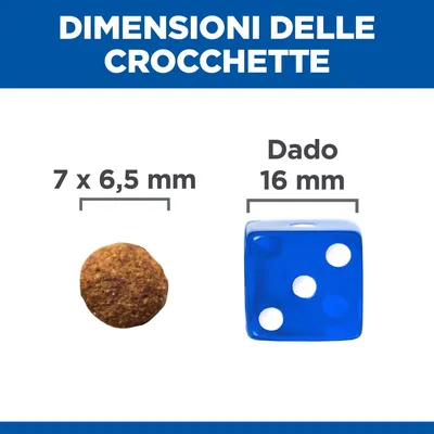 Dimensioni delle crocchette: 7 x 6,5 mm accanto a un dado blu da 16 mm per confronto visivo.
