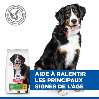 Hill’s Science Plan Senior Vitality Mature Adult 6+ Large avec poulet