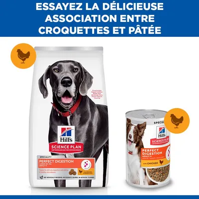 Hill's Science Plan Perfect Digestion Adult Large avec poulet et riz complet