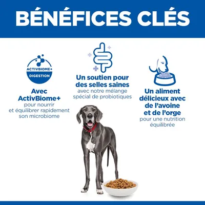 Hill's Science Plan Perfect Digestion Adult Large avec poulet et riz complet