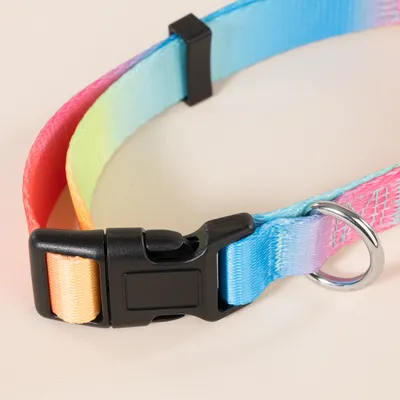 TIAKI obroża Rainbow