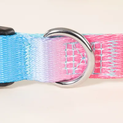 TIAKI obroża Rainbow