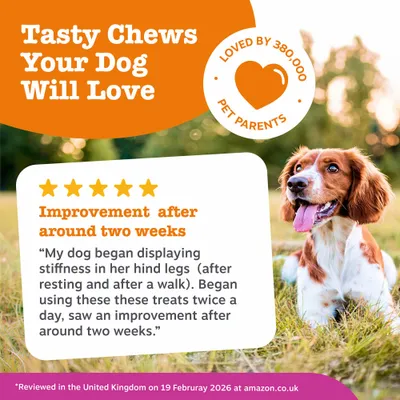 Zesty Paws Hip & Joint Chews Mobility - Turkey - dog supplements - 50 Chews Zesty Paws Hip & Joint Chews Mobility - Turkey - dog supplements - 50 Chews