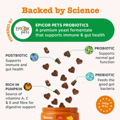 Zesty Paws Probiotic Chews Digestion - Pumpkin - dog supplements - 50 Chews Zesty Paws Probiotic Chews Digestion - Pumpkin - dog supplements - 50 Chews
