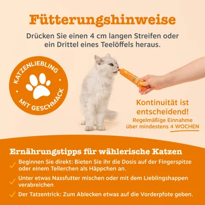 Zesty Paws Cat Urinary Care Paste