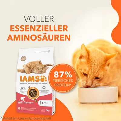 IAMS Katzenfutter mit Lachs, 3kg. Voller essenzieller Aminosäuren, 87% tierisches Protein* Anteil am Gesamtproteingehalt. Für Katzen ab 1 Jahr geeignet.