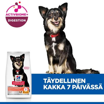 Hill's Science Plan Perfect Digestion Adult 1+ Small & Mini kana & ruskea riisi Hill's Science Plan Perfect Digestion Adult 1+ Small & Mini kana & ruskea riisi