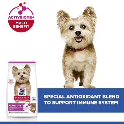 Hill’s Science Plan Adult 1-6 Small & Mini with Lamb & Rice