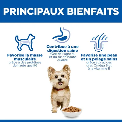 Principaux avantages : Favorise la masse musculaire grâce à des protéines de haute qualité, soutient une digestion saine avec de l’agneau et du riz, contribue à la santé de la peau et de la fourrure grâce aux acides gras oméga-6 et à la vitamine E. Principaux avantages : Favorise la masse musculaire grâce à des protéines de haute qualité, soutient une digestion saine avec de l’agneau et du riz, contribue à la santé de la peau et de la fourrure grâce aux acides gras oméga-6 et à la vitamine E.