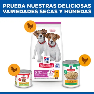Hill's Science Plan Puppy <1 Small & Mini con pollo Hill's Science Plan Puppy <1 Small & Mini con pollo