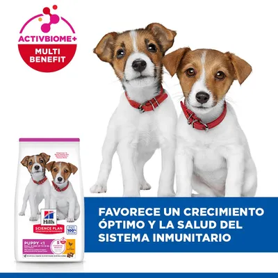 Hill's Science Plan Puppy <1 Small & Mini con pollo Hill's Science Plan Puppy <1 Small & Mini con pollo