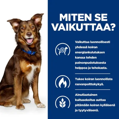 Grafiikka, jossa on kolme kohtaa: Tukee luonnollista painonpudotusta, edistää rasvanpolttoa ja erityinen kuitusekoitus lisää koiran kylläisyyden tunnetta. Grafiikka, jossa on kolme kohtaa: Tukee luonnollista painonpudotusta, edistää rasvanpolttoa ja erityinen kuitusekoitus lisää koiran kylläisyyden tunnetta.