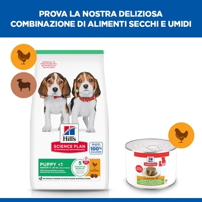 Hill's Science Plan Puppy & Mother Tender Mousse con Pollo Hill's Science Plan Puppy & Mother Tender Mousse con Pollo