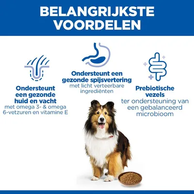Hill's Science Plan Adult Sensitive Stomach & Skin pour chien