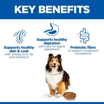 Hill's Science Plan Adult Sensitive Stomach & Skin Hill's Science Plan Adult Sensitive Stomach & Skin