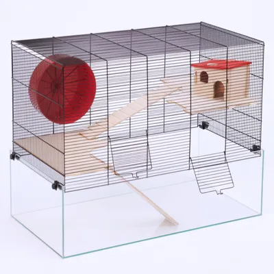 Small animal cage with metal grid, red exercise wheel, wooden house and ramps. Lower section made of glass for extra space.