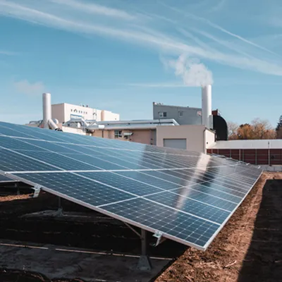 Goood Bio Meat Gooodies