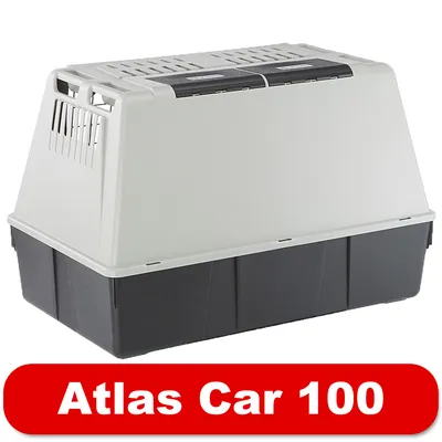Atlas Car 100 transporter od plastike, s ventilacijskim otvorima i crno-sivim poklopcem. Naziv proizvoda: Atlas Car 100 prikazan na crvenoj traci.