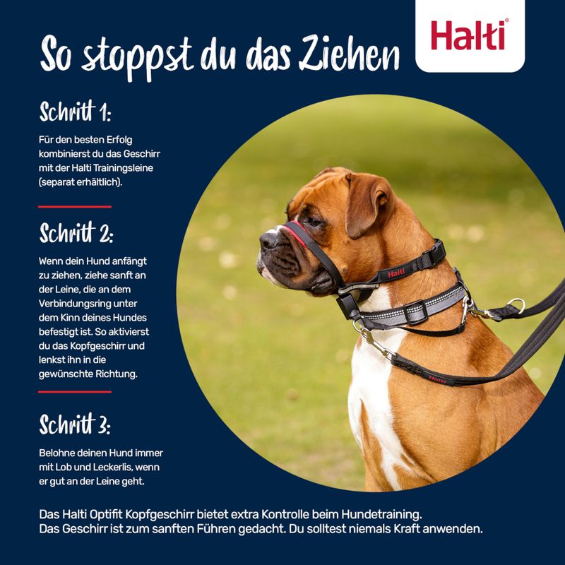 Anleitung zur Nutzung des Halti Optifit Kopfgeschirrs: Schritt 1 kombiniert mit Trainingsleine, Schritt 2 sanftes Ziehen zur Aktivierung, Schritt 3 Belohnung bei gutem Verhalten.