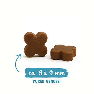 Zwei braune Snacks in Kreuzform, Größe ca. 9 x 9 mm, Text: PURER GENUSS! Zwei braune Snacks in Kreuzform, Größe ca. 9 x 9 mm, Text: PURER GENUSS!