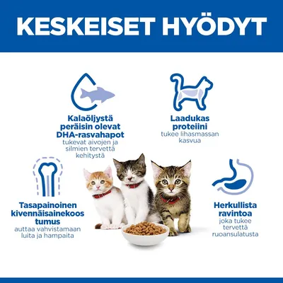 Grafiikka, jossa neljä pääetua: DHA-rasvahapot kalaöljystä, korkealaatuinen proteiini, tasapainoinen kivennäisainekoostumus ja maukas ruoka. Kolme kissaa ruokakupin vieressä. Grafiikka, jossa neljä pääetua: DHA-rasvahapot kalaöljystä, korkealaatuinen proteiini, tasapainoinen kivennäisainekoostumus ja maukas ruoka. Kolme kissaa ruokakupin vieressä.