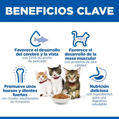 Hill's Science Plan Kitten <1 salmón