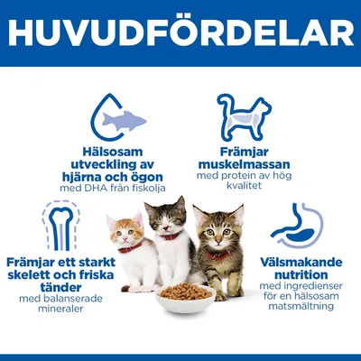 Hill's Science Plan Kitten <1 Salmon