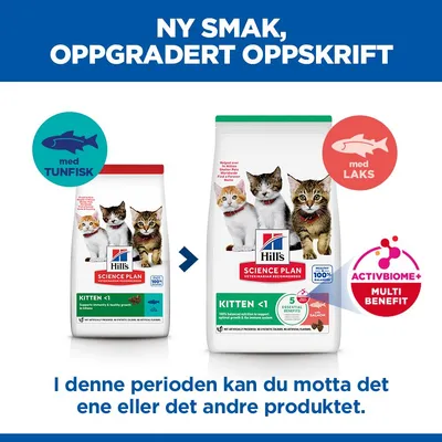 Hill's Science Plan Kitten <1 laks